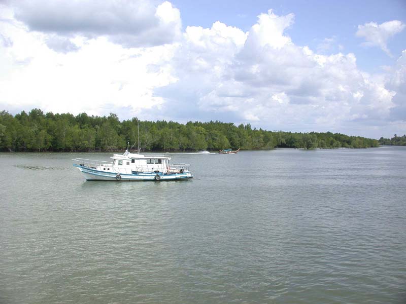 Krabi Harbor 8
