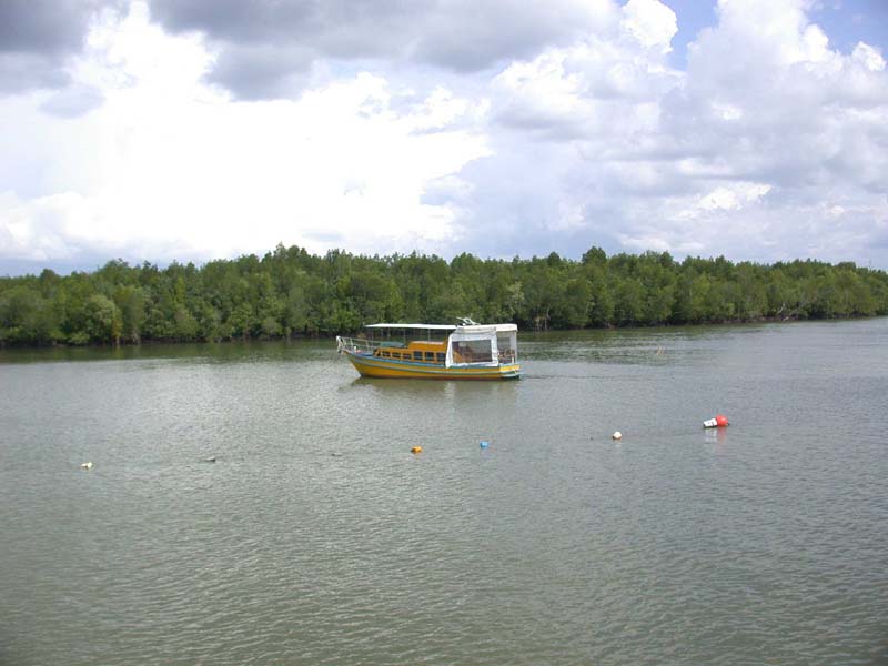 Krabi Harbor 9